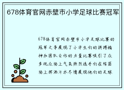 678体育官网赤壁市小学足球比赛冠军